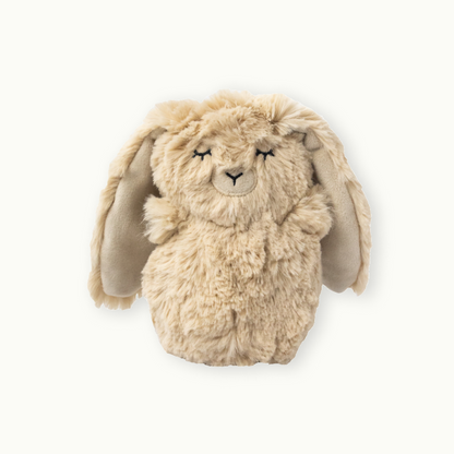 Slumberkins Self Esteem Bundle: Tan Bunny Mini & Bigfoot Intro Book